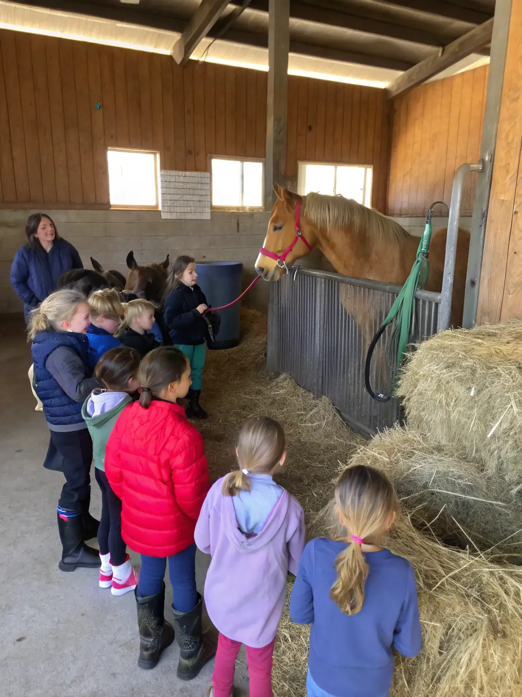 Participants actively engaged in an animal welfare workshop, learning about proper animal care and ethical treatment at ASSOCIATION DU PONEY CLUB VAL LOYER.